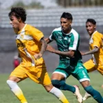 Brasiliense-x-Gama.webp.webp