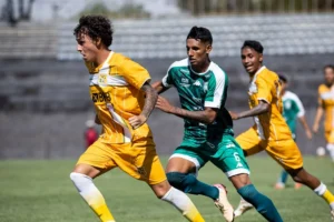 Brasiliense-x-Gama.webp.webp
