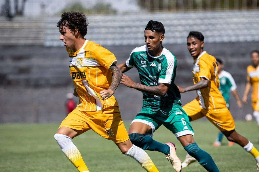 Brasiliense-x-Gama.webp.webp