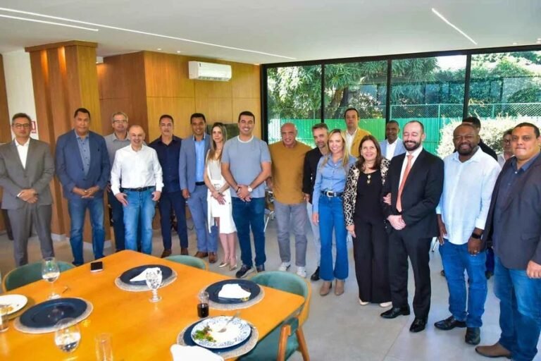 celina-leao-e-partidos.webp.jpeg